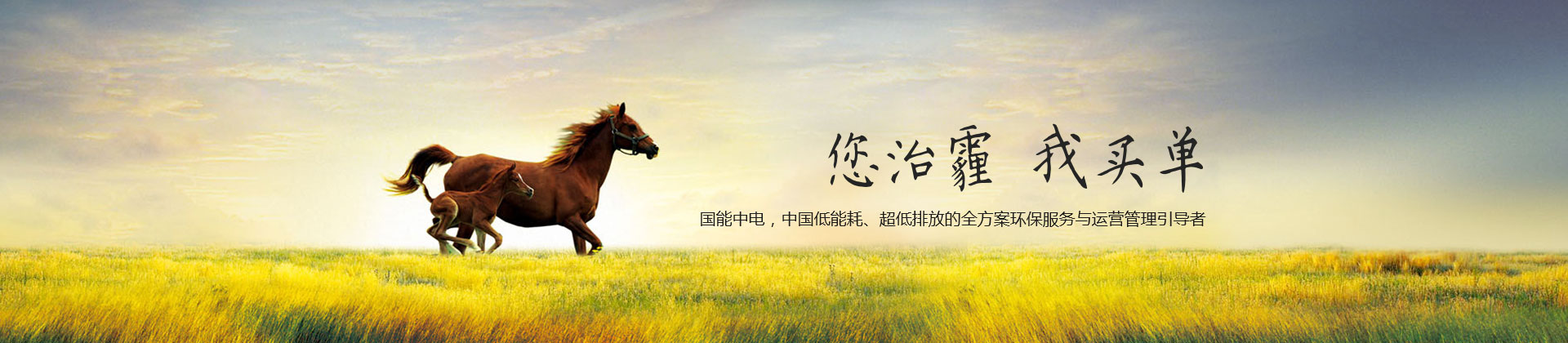 職業(yè)招聘banner